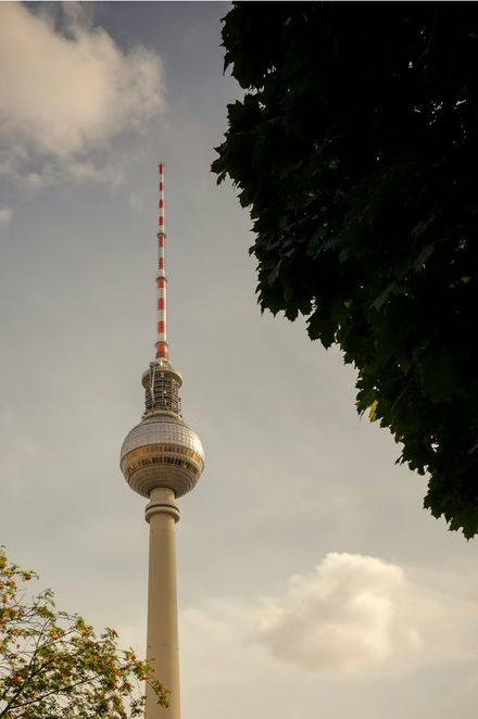 Fernsehturm über den Baumkronen Berlins